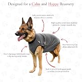 BellyGuard Dog Surgery Recovery Suit for Post-Op Care view 5