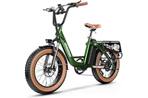 EUY Electric Bike for Adults with Peak 1500W Motor, 48V 20Ah Removable Battery Fast Ebike,Max 70Miles & 30MPH,20" x4.0 Fat Tire Commuting Electric Mountain Bike,7-Speed, Step-Thru Bicycle