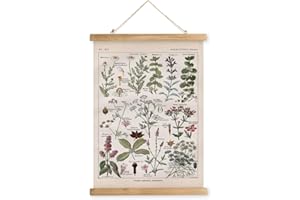 XIAOAIKA Vintage Botanical Herbs Illustration Poster - Retro Medicinal Plant Chart with Wooden Frame - Educational Herbal Reference for Home, Kitchen, or Classroom Decor 12 x 16 Inches