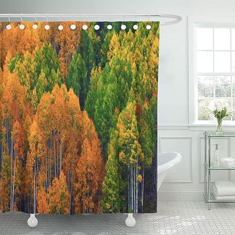 Amazon Sudisskm コロラド州の西エルク山脈のシャワーカーテンアスペンツリー12フック付きシャワーカーテンセット60 X 72インチ防水ポリエステル生地 シャワーカーテン ホーム キッチン オンライン通販