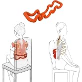 LittleMum Back Deep Tissue Massager for QL, SI Joint &amp; Upper Glutes | For Release QL, Glutes, Piriformis Knots, SI Joint Pain Relief, Back Stretcher, Body Weighted Massager, Chair-Back Use Option
