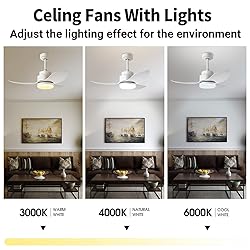 Modern White Ceiling Fans with Lights Remote