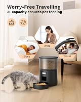 BEMOONY Automatic Cat Feeder 3L, 1-6 Meals, 10s Voice, Dual Power view 5