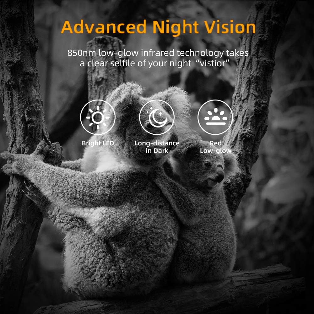 Suntekcam Mini Trail Camera 12MP 1080P 0.3s Trigger Speed Hunting Cams with Night Vision Motion Activated for Wildlife Monitoring Waterproof: Electronics