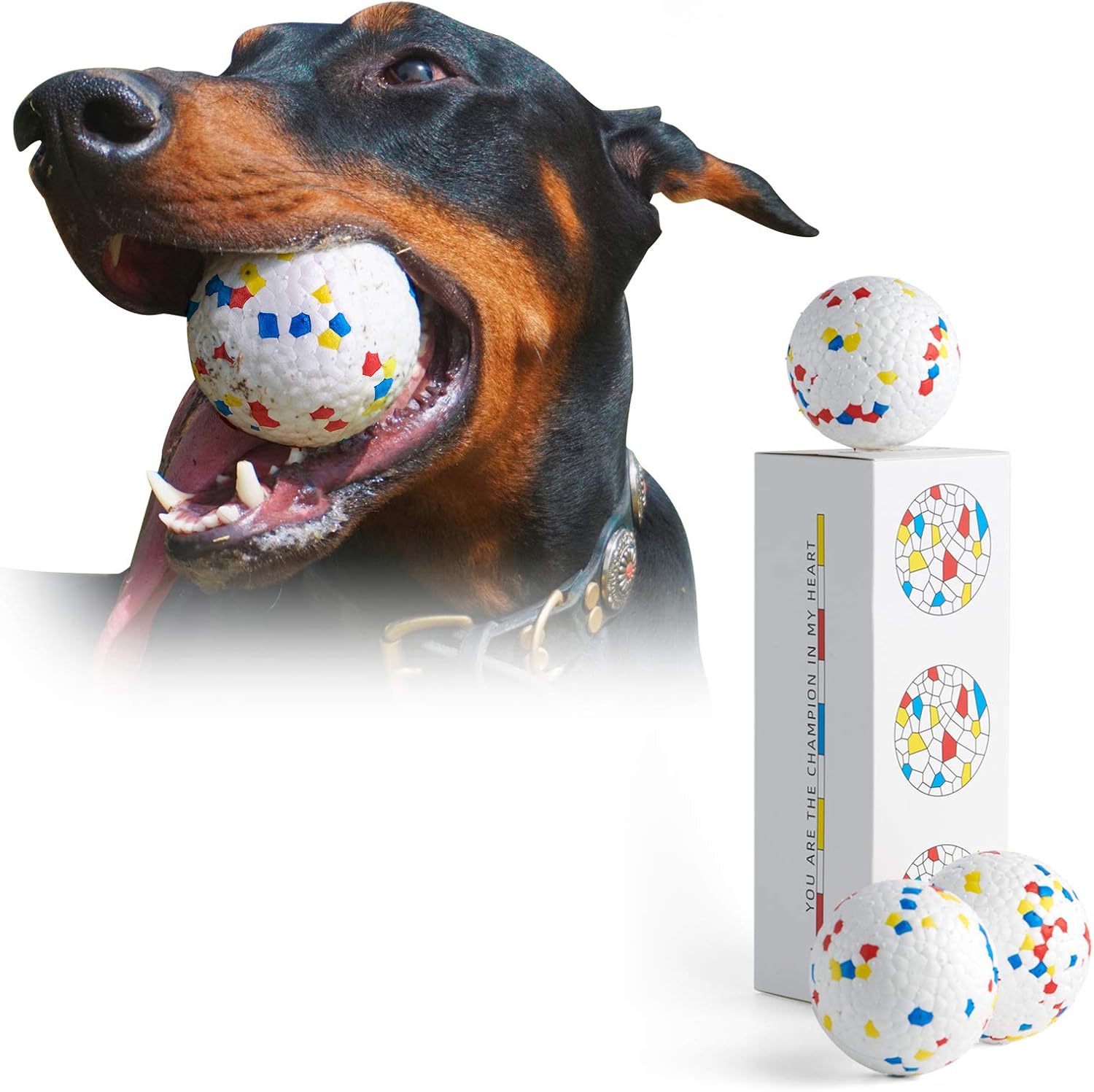 dog exercise toys