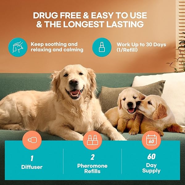 PROELOBARA DOG CALMING PHEROMONE PLUG DIFFUSER: DOG CALMING PHEROMONES DIFFUSER – REDUCES STRESS & ANXIETY CALMING PHEROMONE DIFFUSER FOR DOGS – CALM DOGS 60 SUPPLY