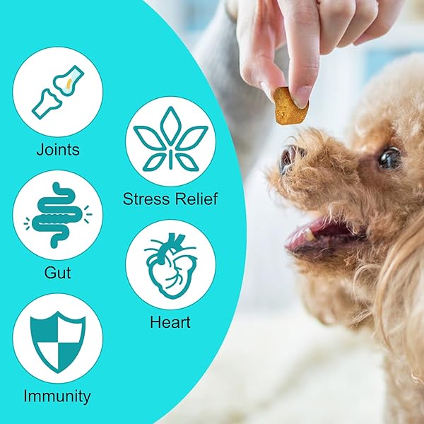 HEMP CALMING CHEWS FOR DOGS, 150 CHEWS PREMIUM DOG CALMING TREATS WITH HEMP OIL – ANXIETY, SEPARATION, BARKING, STRESS RELIEF, MELATONIN FOR DOGS, SLEEP CALMING AID FOR ALL AGES, BREEDS & SIZE