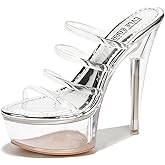 Women's Clear Strappy Stiletto Heels - Nude Platform Sandals with Ankle Strap | Pleaser (Kim)