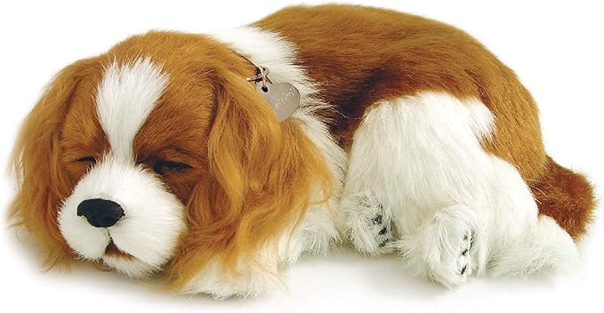 best toys for cavalier king charles