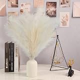 Woltoy Pampas Grass 5 Pcs Dried Look Artificial Stems 96cm Beige Boho view 7