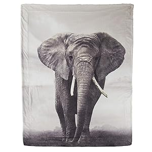 Bedsure Elephant Sherpa Twin Blanket Animal Bedding Blanket 60 x 80 inches Reversible Twin Size Fuzzy Blanket for Outdoor Camping