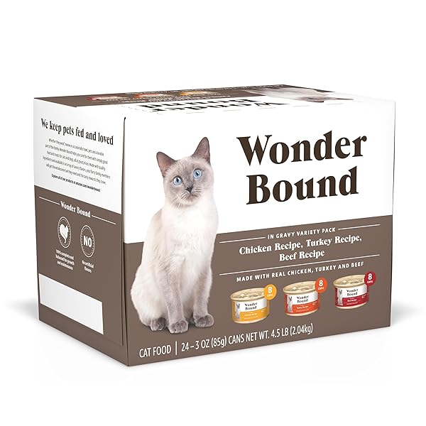 AMAZON BRAND – WONDER BOUND GOURMET WET CAT...