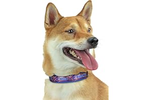 Zubaz NFL Team Adjustable Pet Collar for Dogs & Cats, Buffalo Bills, Large