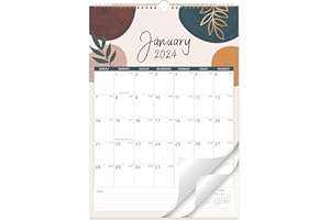 LAFEFO 2024 Calendar - Jan. 2024 - Dec. 2024, 2024 Wall Calendar with 12 Months, 11" x 8.5", Twin-Wire Binding + Hanging Hook + Large Blocks with Julian Dates, Wall Calendar for Organizing - Colorful Lump