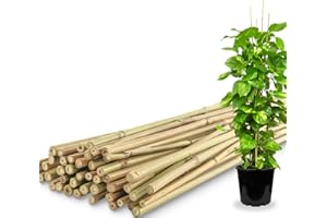 AVALUTION 50Pcs Bamboo Plant Stakes for Indoor Outdoor Plants, 0.32''-0.4''/4 FT Bamboo Sticks Garden Support Stakes Bamboo Poles Trellis for Tomato Vegetables Beans Trees Potted Climbing Plants