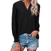 Liyinxi Womens Fall Long Sleeve Shirts Casual V Neck Puff Tunic Tops Curved Hem Blouses Tshirts