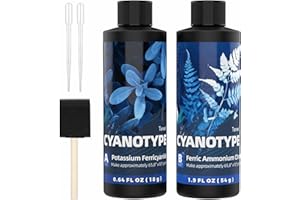 TENEE 16oz Art Cyanotype Sensitizer Kit for Photographic Blueprints, Cyanotype Chemicals Dye Powder for Beginners and Artists, Sun Printing Kit for Paper, Fabric, Wood, Leather, Canvas