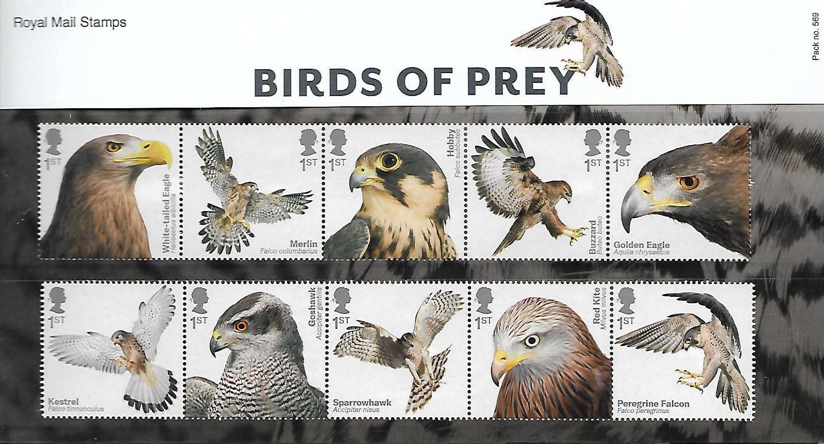 Birds of Prey Presentation Pack 2019