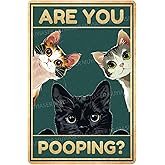 MUYIASER Metal Signs Cats Are You Pooping Vintage Signs Retro Aluminum Tin Sign for Toilet Washroom Garden Home Bar Cafe Decor 8x12 Inch