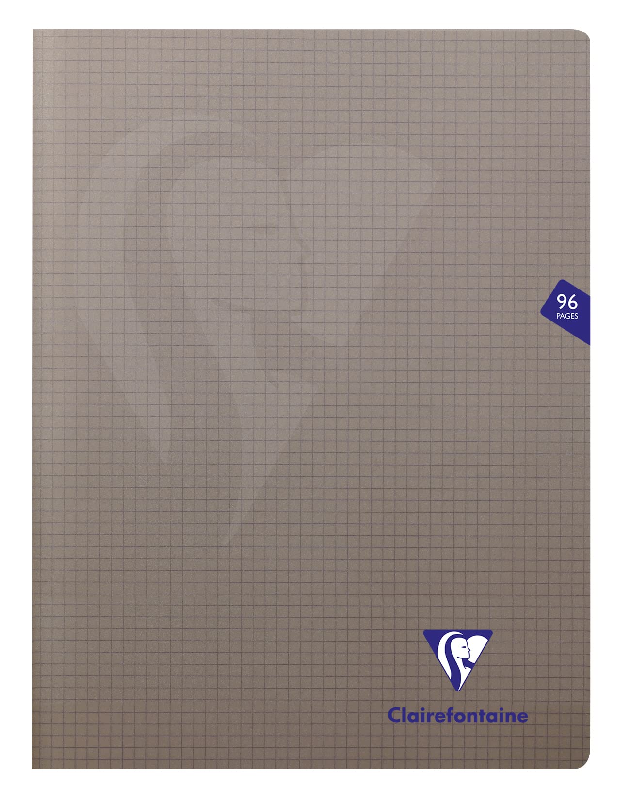 Clairefontaine 363362C - One Set of 10 Mimesys Grey Stapled Notebooks - Dimensions: 24x32 cm - 96 Small Squares Pages - White Paper 90 g - Polypro Cover