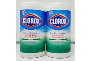 Clorox Disinfecting Wipes Fresh Scent 85ct Pack of 2 170 Count Total