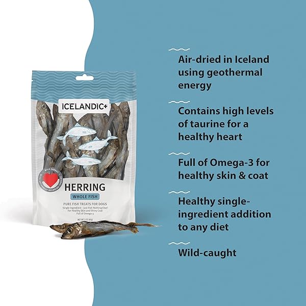ICELANDIC+ WHOLE FISH HERRING – 3OZ BAG – DOG TREATS, PURE WILD-CAUGHT & AIR-DRIED, SINGLE INGREDIENT SNACK, PET CHEW, JUST THE FISH NOTHING ELSE