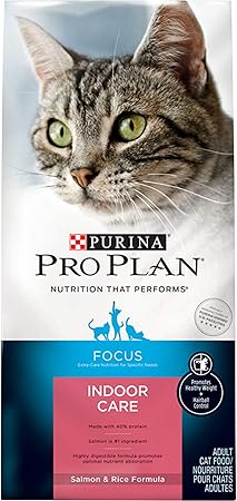 my old cat is constipated