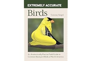 Extremely Accurate Birds: An Anatomically Precise Field Guide to Common Backyard Birds of North America