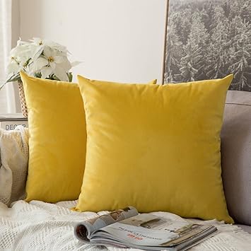 Miulee Velvet Soft Soild Microfiber Decorative Square Pillow Case