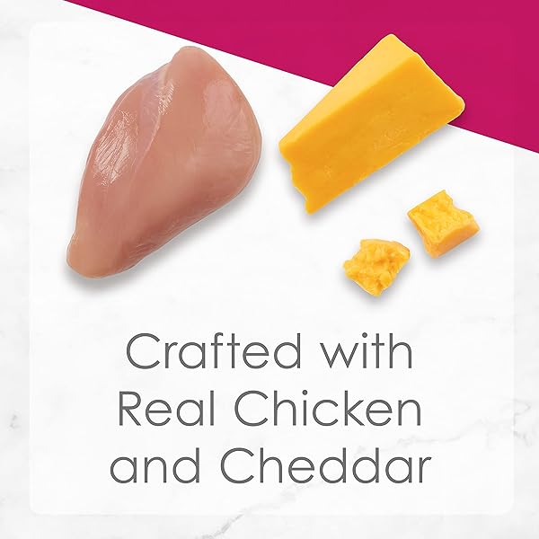 FANCY FEAST PURINA GRILLED GRAVY WET CAT FOOD, DELIGHTS GRILLED CHICKEN & CHEDDAR CHEESE FEAST – (24) 3 OZ. CANS