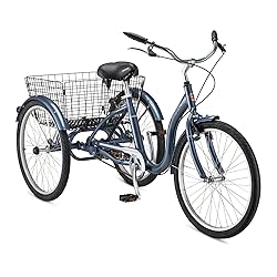 Schwinn Meridian Adult Tricycle, 24 Inch Bike for
