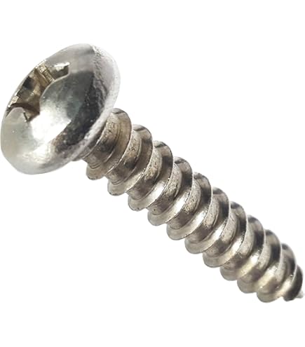 Tornillo De Acero Inoxidable Con Soporte De Cabeza Phillips PNG