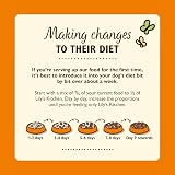 Lily's Kitchen Lean Machine Adult Wet Dog Food 6 x 400g Turkey Kale view 6