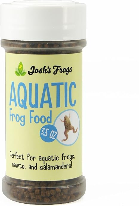 water frog food