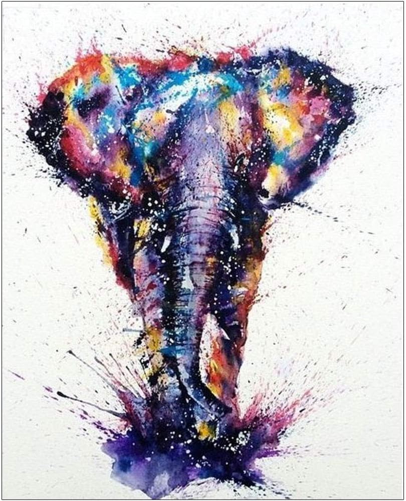 Lidiper 5D Diamond Painting Kit Elephant 30x40cm DIY Full Drill Crystal
