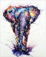 Lidiper 5D Diamond Painting Kit Elephant 30x40cm DIY Full Drill Crystal