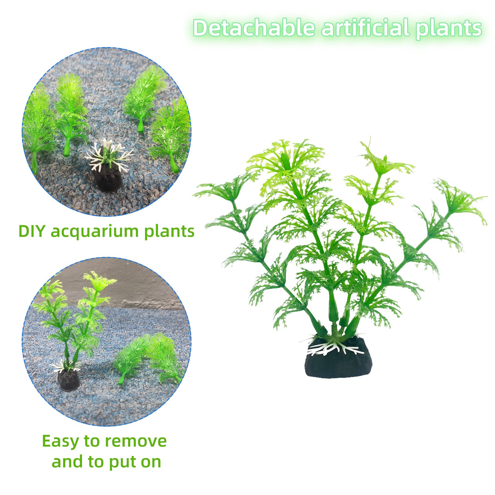 View 6
