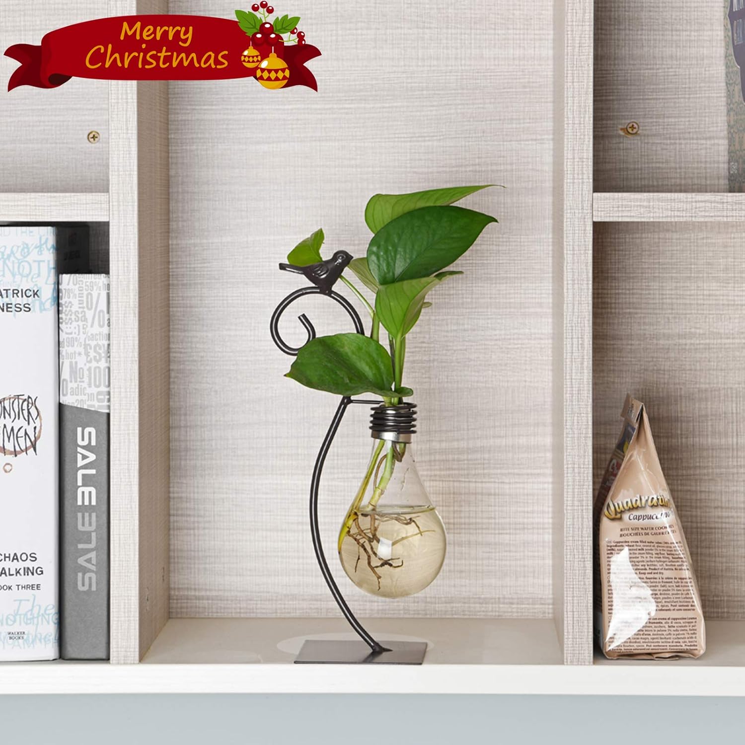 Marbrasse Desktop Glass Planter Hydroponics Vase,Planter Bulb Vase with Holder for Home Decoration,Modern Creative Bird Plant Terrarium Stand, Scindapsus Container (Bulb Vase): Kitchen & Dining