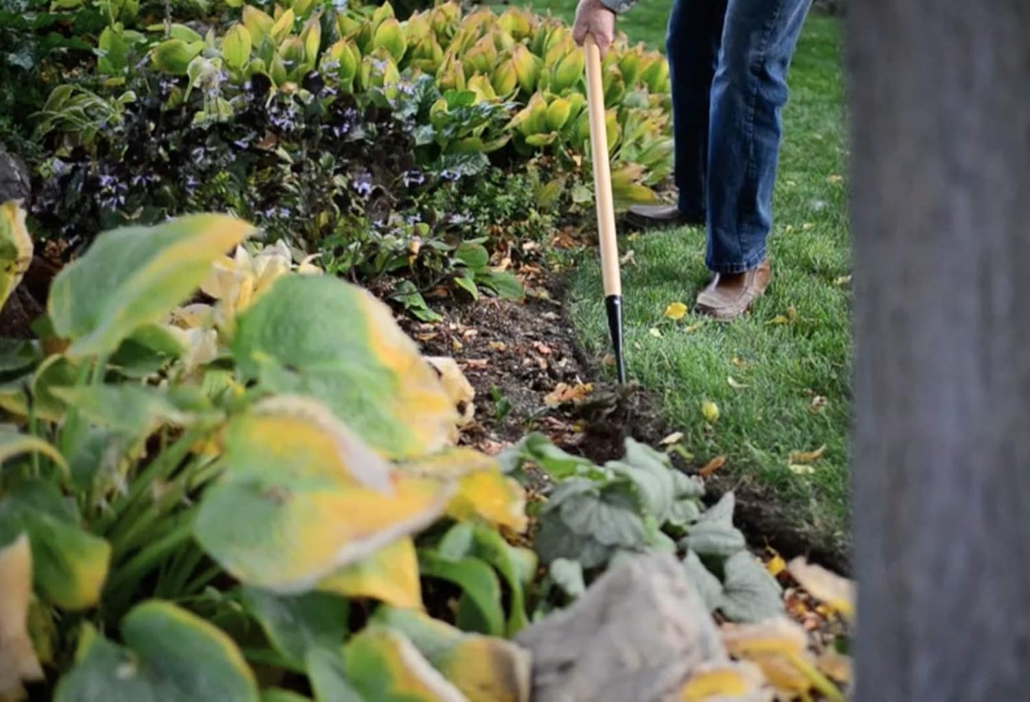 Kwik Edge Tool - Garden Edger Weeder - Soil Cultivator - Hoe Long Handle Grass Flower Backyard Gardening Tool : Garden & Outdoor