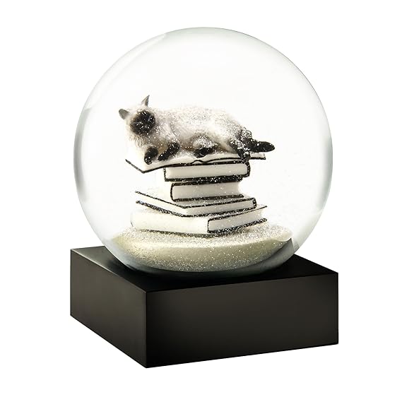 CoolSnowGlobes Cat on Books White Snow Globe by
