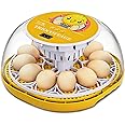 TRIOCOTTAGE 12 Clear Egg Hatching Incubator with Automatic Egg Turning and Auto Water Replenishment for Chicken Eggs and Quail Egg (Eco-Friendly Packaging)