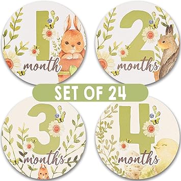Amazon Com 24 Baby Monthly Milestone Stickers Beautifully Illustrated Baby Month Stickers For Baby Girl Boy 12 Month By Month Newborn Milestone Belly Sticker Infant Monthly Birthday Stickers