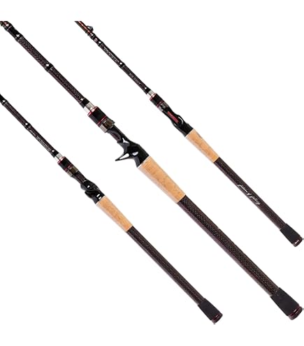 Jack Hammer Favorite Spinning Rod : Sports & Outdoors