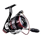 KastKing Sharky II Fishing Reel - Smooth Spinning Reel - 10+1 Superior Ball Bearings-Brass Gears - Top Quality at An Affordable Price!