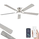 ZMISHIBO 60 Inch Ceiling Fan with Light, App&Remote