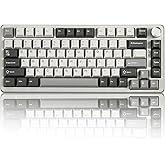 YUNZII B75 PRO Wireless Mechanical Keyboard,75% Layout with Knob,Hot Swap Gasket Custom Structure,Creamy Pre-lubed Switches,RGB Backlit,Bluetooth/Type-C/2.4G for Win/Mac(Milk Switch,Grey)