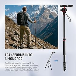 NEEWER Basics Camera Tripod Monopod, 77" Compact