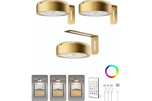 Homelist Picture Lights for Wall, 2200mAh Rechargeable Magnetic Poster Lights with Remote, 3 Color Temps & 12 RGB Modes, Dimm