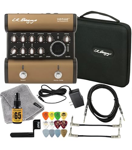 Amazon.com: L.R. Baggs Venue DI Acoustic Guitar Preamp and DI