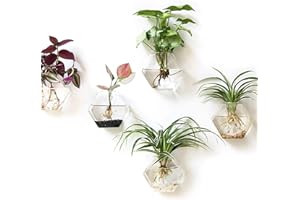 Kingbuy Hexagon Wall Planter Set - 3 Pack Glass Propagation Terrarium Vases with Hanging Mounts for Indoor Plants, Air Plants & Hydroponic Stations Home Office Decor, Plant Lover Gifts (Medium)